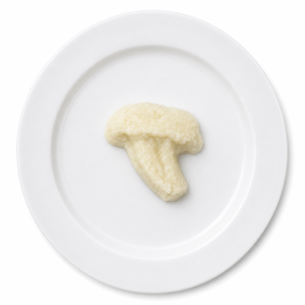 BROCCOLI - PUREE FOOD MOLD