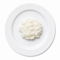 RICE - PUREE FOOD MOLD